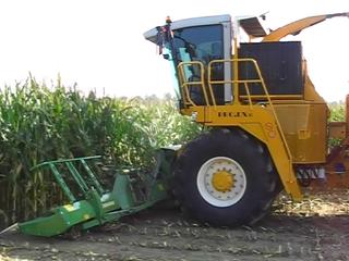 MOV08E-26.jpg